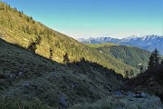 80 Superata la Baita Nicola scendendo si entra nel bosco